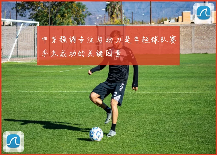 申京强调专注与动力是年轻球队赛季末成功的关键因素