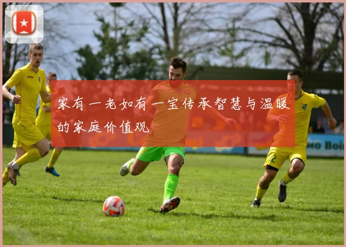 家有一老如有一宝传承智慧与温暖的家庭价值观