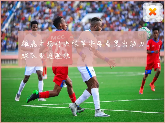 雄鹿主场对决绿军字母哥复出助力球队重返胜轨